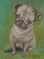 portrét zvířete - pastel na barevném papíře(pes)